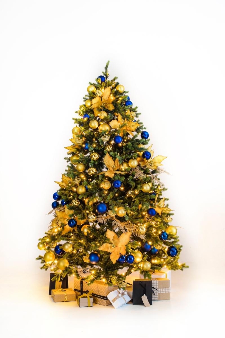 kerstboom blue wonder 270cm