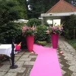 Loper Fuchsia per meter