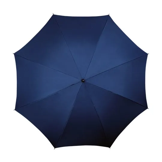 Algemene Paraplu blauw
